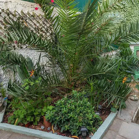 Kassi Hanni * Thessaloníki