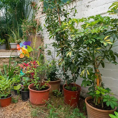 Kassi Hanni Lägenhet