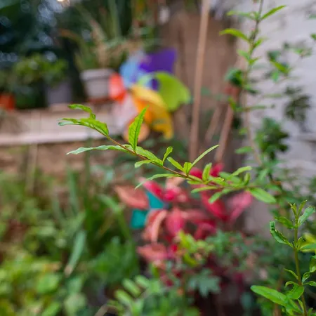 Kassi Hanni Lägenhet *