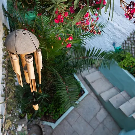 Kassi Hanni * Szaloniki