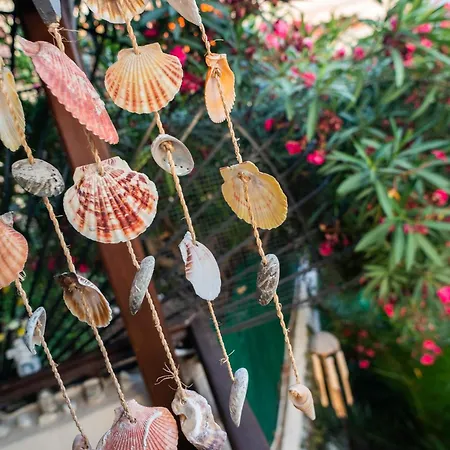 Kassi Hanni * Szaloniki