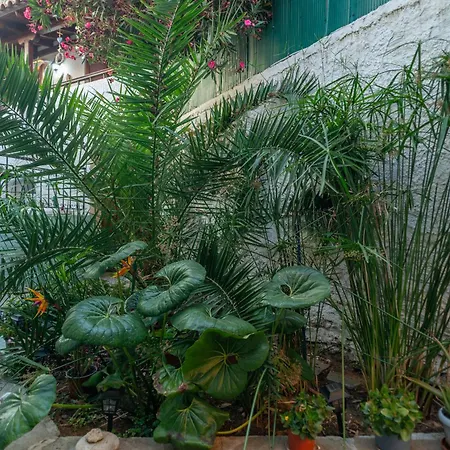 Kassi Hanni Apartman