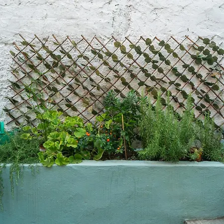 Kassi Hanni * Szaloniki